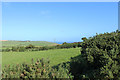 Farmland at Clachan Hill Farm