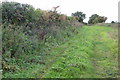 Track along dismantled railway