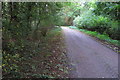 Bridleway to Pictshill Farm