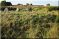 Broomend of Crichie Stone Circle (7)