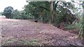 Stream, Hedge and Parish Boundary