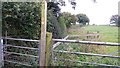 Bridleway to Massey House Farm