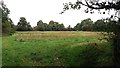 Footpath at Chapel Fields