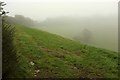 Mist near Rowden Farm