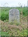 Old Milestone by the A352, Chaldon Herring