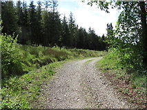 J1209 : Main forestry road in Annaloughan Forest by Eric Jones