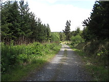 J1209 : View ENE along the main forestry road on Annaloughan Mountain by Eric Jones