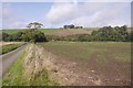 Winter crops near Kirkton Mill