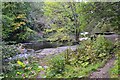 Site of weir, River Wansbeck