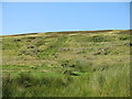 The lower slopes of Brown Dodd