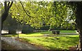 SX9164 : Upton Park, Torquay by Derek Harper