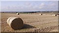 Round bales