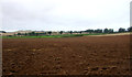 Ploughed field near Rachelfield