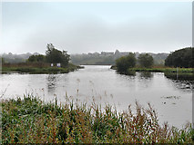H2343 : River Erne, Enniskillen by David Dixon