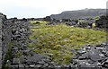 Ruined building at Braich quarry