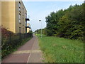 Path along the edge of the new estate around the Oasis Academy