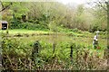 Lake near Causeland