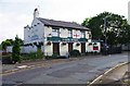 Lazy Toad (1), 14 Ashton Hill Lane, Droylsden