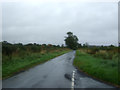 National Cycle Route 1 near Stichill Eastfield