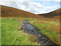 NT2142 : Meldon Burn, west of Peebles by G Laird
