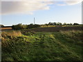 Farmland near Dunnington