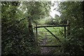 ST5007 : Gate on bridleway near Baker's Farm by Becky Williamson