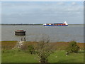 TQ6975 : A container ship heads upriver by Marathon
