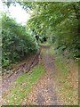 Green lane to Cadbury Castle