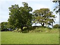 Earth embankment at Cadbury Castle hill fort