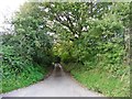 Track to Woolminstone Farm