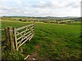 Fields above Woolminstone