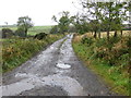 Track leading to Rashiehill Farm