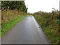 Road near Hillside of Row heading for the B824