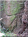 Bench mark alongside Old Buxton Road, west of Teggsnose Lane