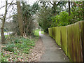 Path, Totteridge Common