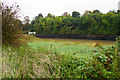 The River Avon near Shirehampton