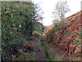 Llwybr Ceffyl Cwm Crogau / Cwm Crogau Bridleway