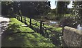 Pond at Black Ven Farm