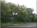 Trees beside the A518 near Leafields