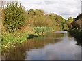 The Caldon Canal Near Birches Head