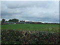 Grazing towards Loxley Bank Farm