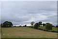 Fields and Pastures by Lindale Lodge