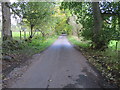 Road at the entrance to Woodside