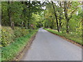 Road beside Strathallan Wood