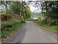 Road beside Balloch Wood heading for Balloch Saw Mill