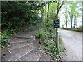 Public Footpath to Strines Road