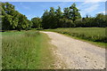 Track, Audley Park