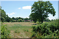 View towards Swains Farm