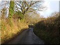 Lane near Druid Cottage