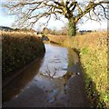 Flood on Rew Road